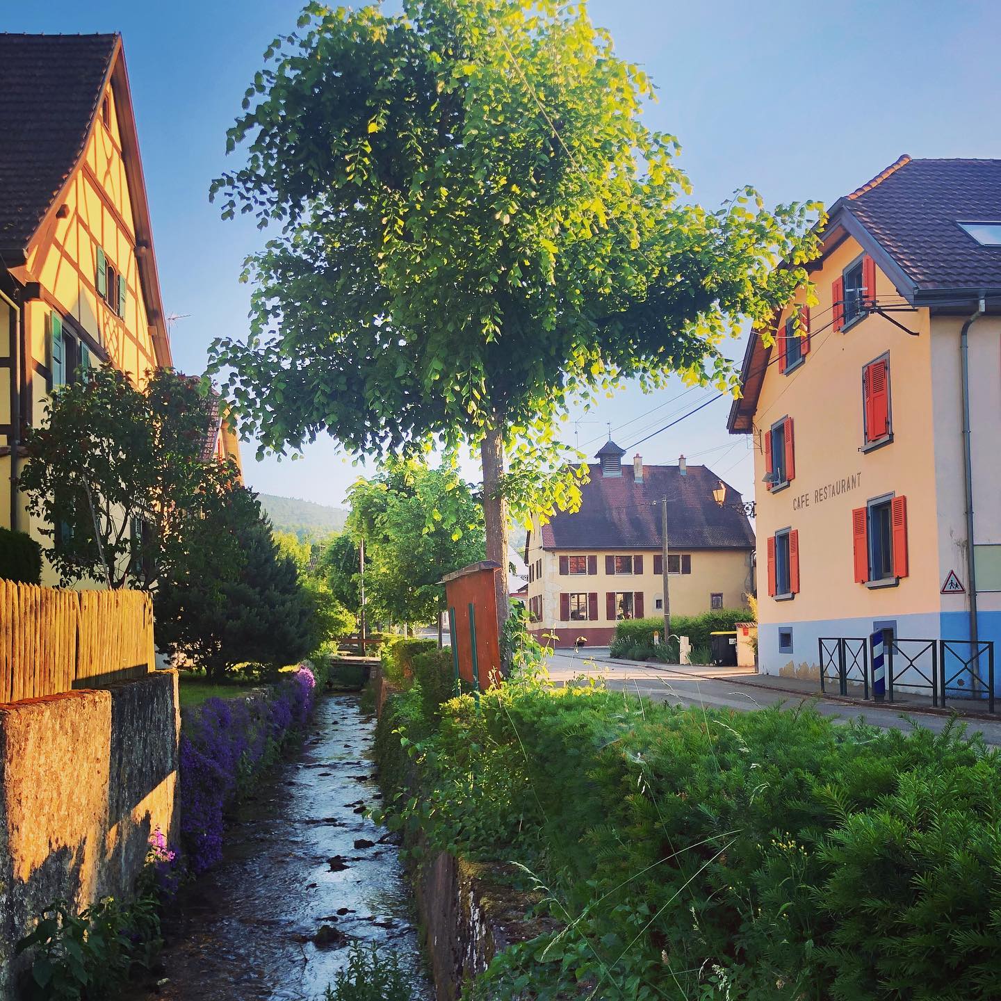 Photo de la rivière du village de Biederthal